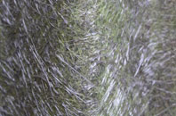 Firle fibreglass roof work